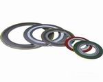Spiral Wound Gasket